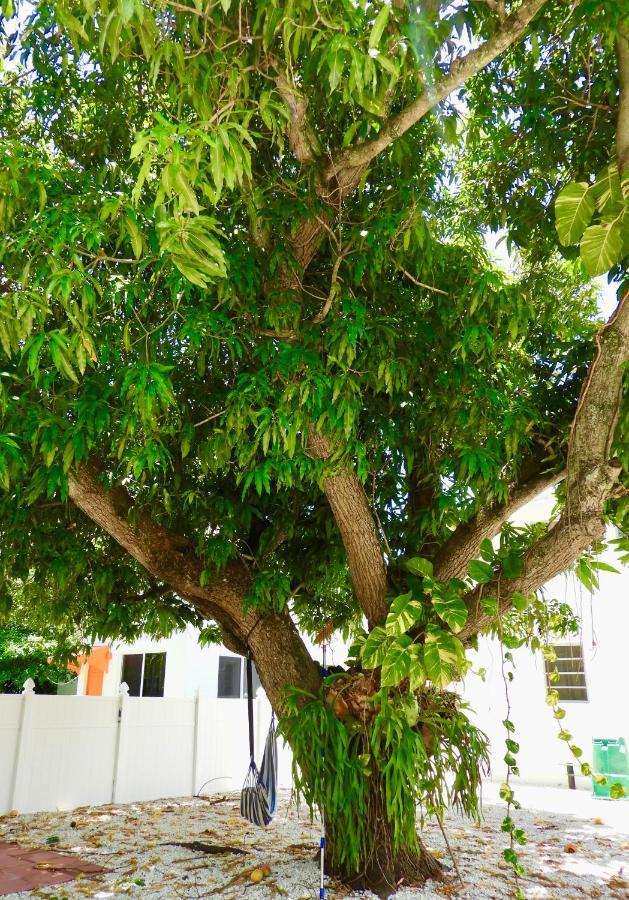 Beautiful Casita With King Bed And Private Patio Close To Calle 8, Mia Airport, Coral Gables Miami Extérieur photo